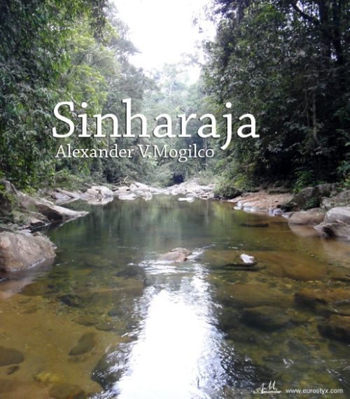 МУЗЫКА И ЗВУКИ СИНХАРАДЖИ | MUSIC AND VOICES OF SINHARAJA RAIN FOREST