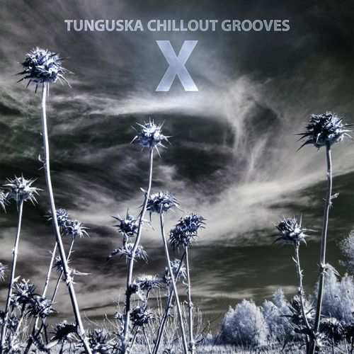 Tunguska Chillout Grooves X