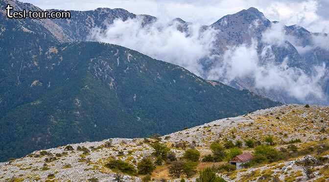Какие-то животные в Логаре трещали ветками… Самостоятельная прогулка в Национальном парке Логара (Албания)
