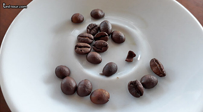 Самбучные кофейные зерна для разжевывания! Как правильно пить САМБУКУ? 5 лучших способов дегустации САМБУКИ!