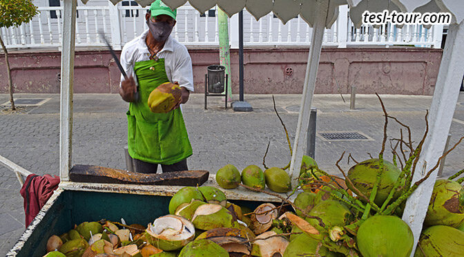 В Доминикану — пить кокосовое молоко? КОКОС ШОУ! Плюсы и минусы этого процесса. Рубим кокосы с плеча!