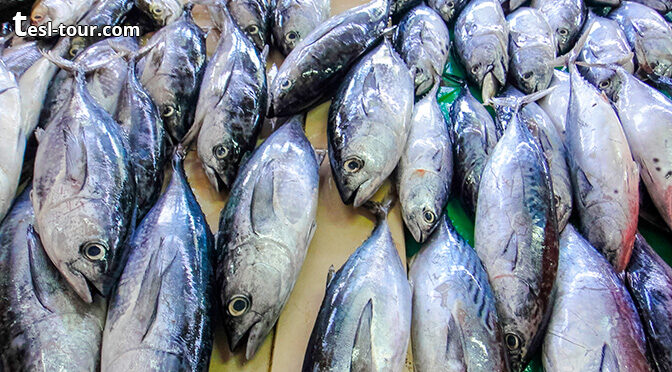Распродажа ТУНЦОВ на рыбных рынках экзотических стран