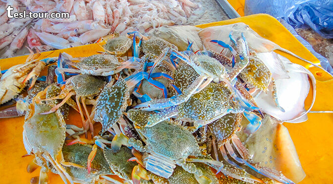 Рыбный рынок в Эссуэйре и любые морепродукты для дегустации