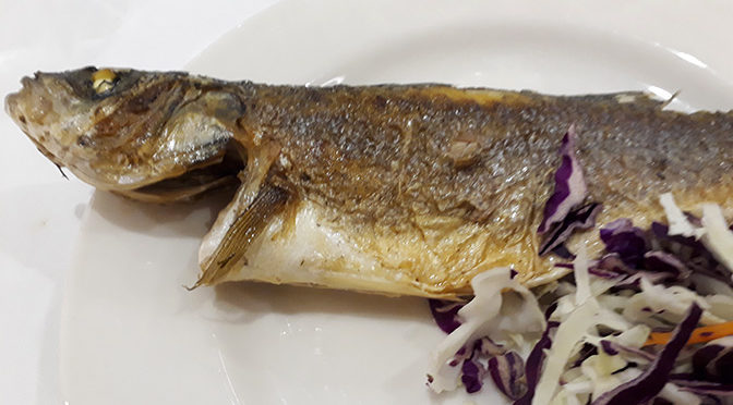 СИБАС турецкий — жареный по-турецки. Пробуем вкусную рыбу! Отличие сибаса от форели