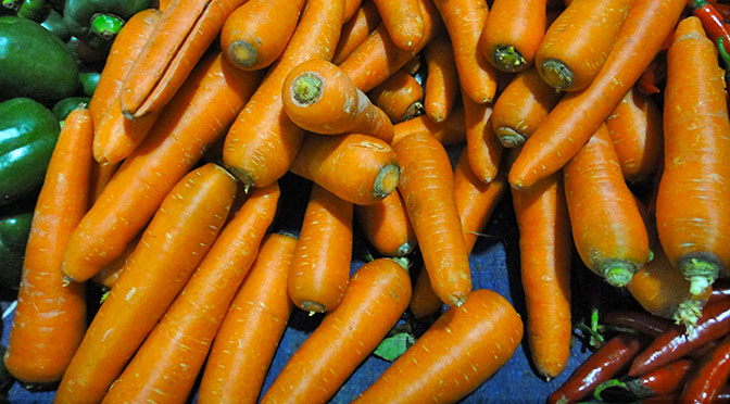 А морковь в Малайзии чувствует себя очень даже ничего!